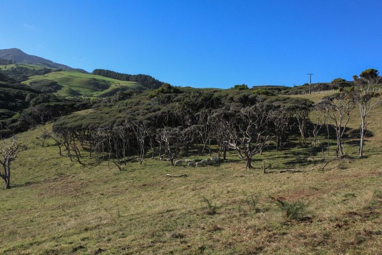 Photo of property in 1638 Whaanga Road, Raglan, 3296