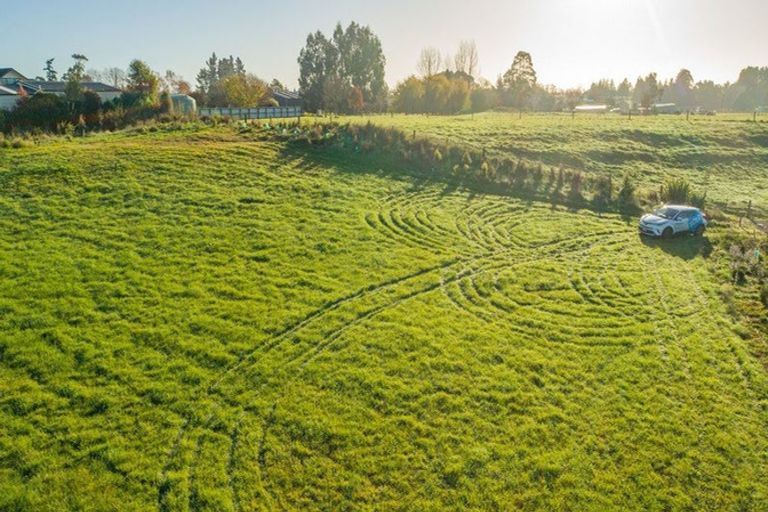 Photo of property in 5 Cranfield Place, Waimate, 7924