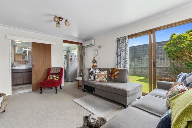Photo of property in 10b Twelfth Avenue, Tauranga South, Tauranga, 3112