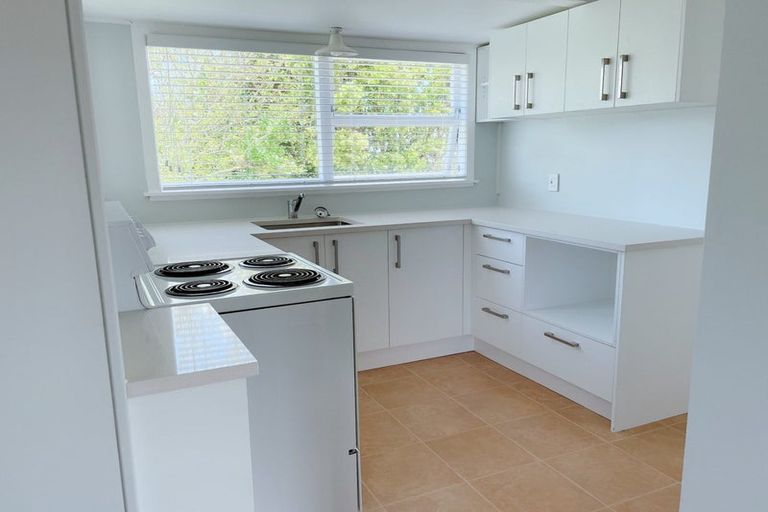 Photo of property in 1/29 Howard Road, Northcote, Auckland, 0627