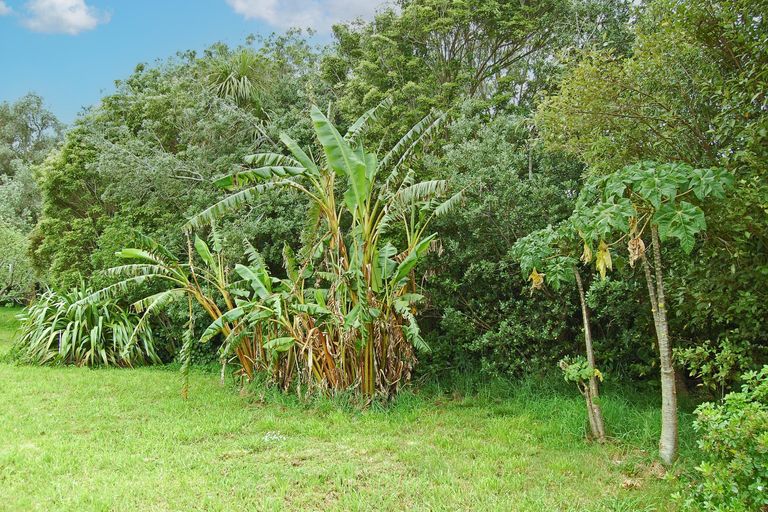 Photo of property in 126 Oneriri Road, Kaiwaka, 0573