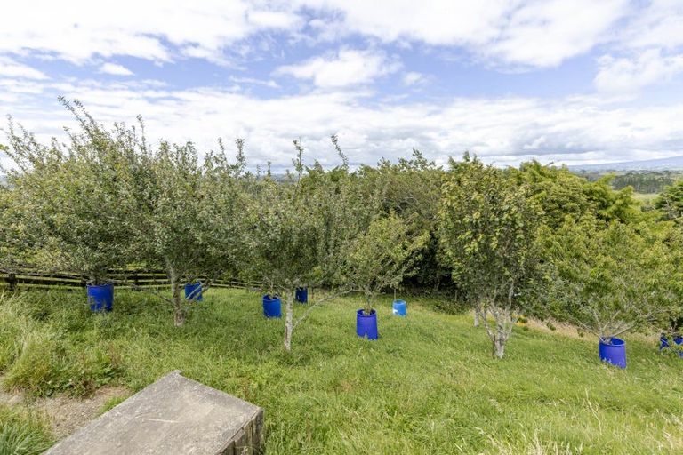 Photo of property in 287 Lincoln Road, Inglewood, 4389