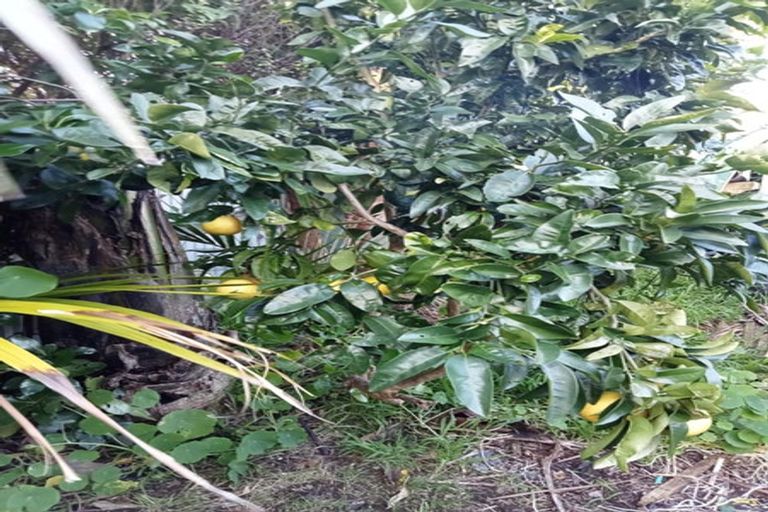 Photo of property in 40 Judea Road, Judea, Tauranga, 3110