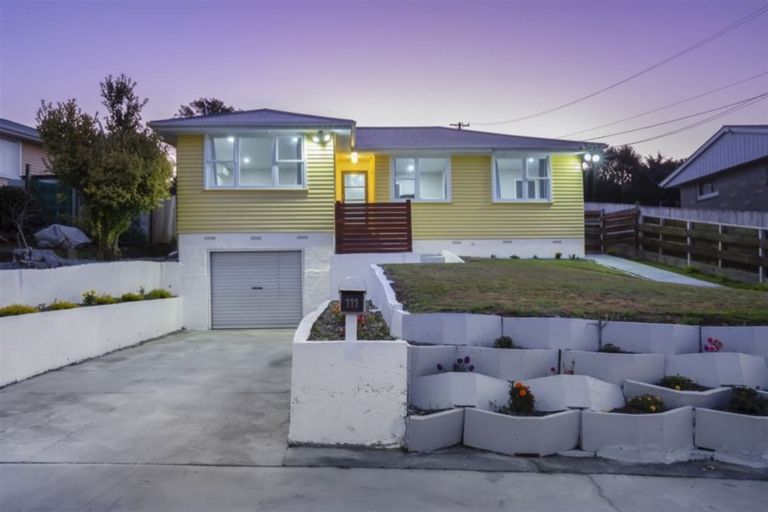 Photo of property in 111 Driver Crescent, Cannons Creek, Porirua, 5024