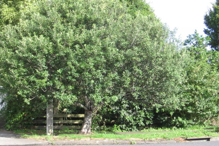 Photo of property in 27 Larnoch Road, Henderson, Auckland, 0610