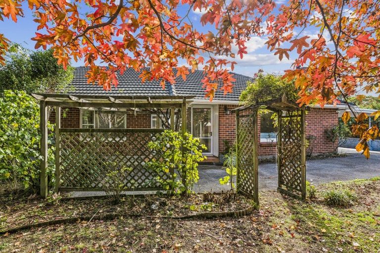 Photo of property in 6 Walton Avenue, Waikanae, 5036