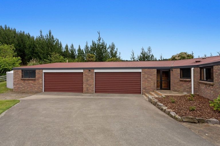 Photo of property in 468 White Pine Bush Road, White Pine Bush, Whakatane, 3192