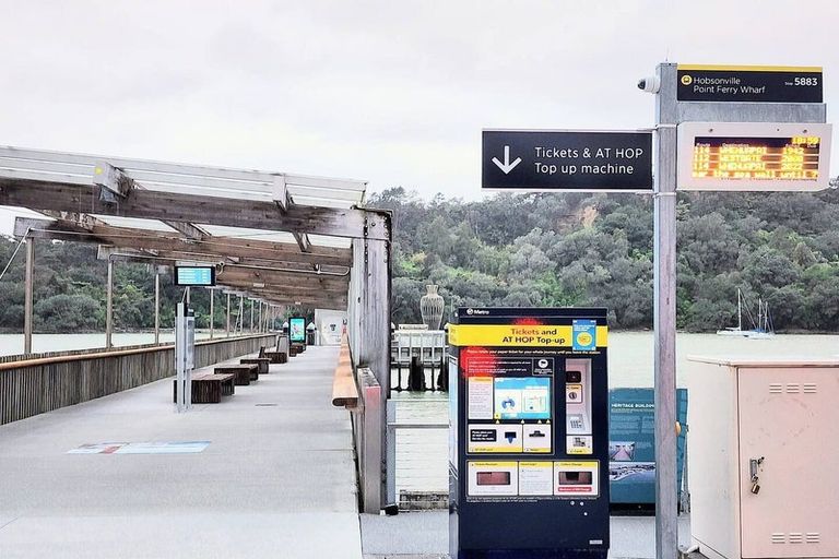 Photo of property in 9 Sioux Road, Hobsonville, Auckland, 0616