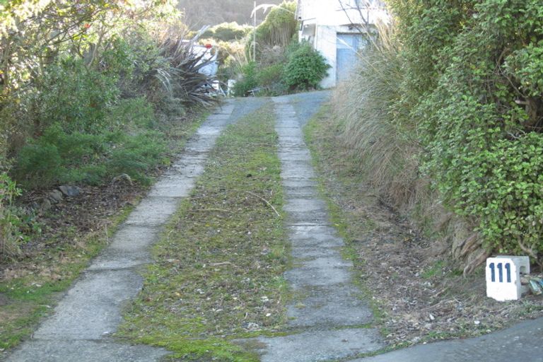 Photo of property in 111 Manapouri Street, Maia, Dunedin, 9022