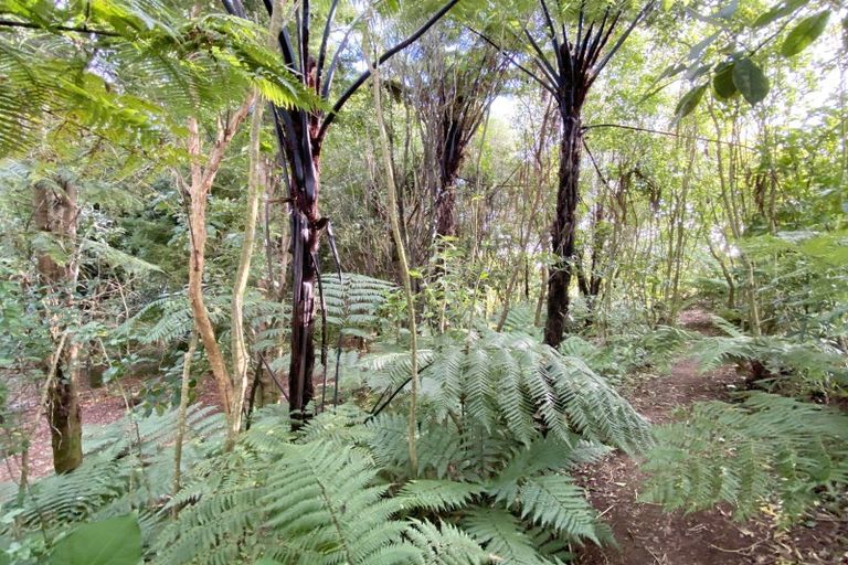 Photo of property in 28 Tangimoana Road, Muhunoa East, Levin, 5570