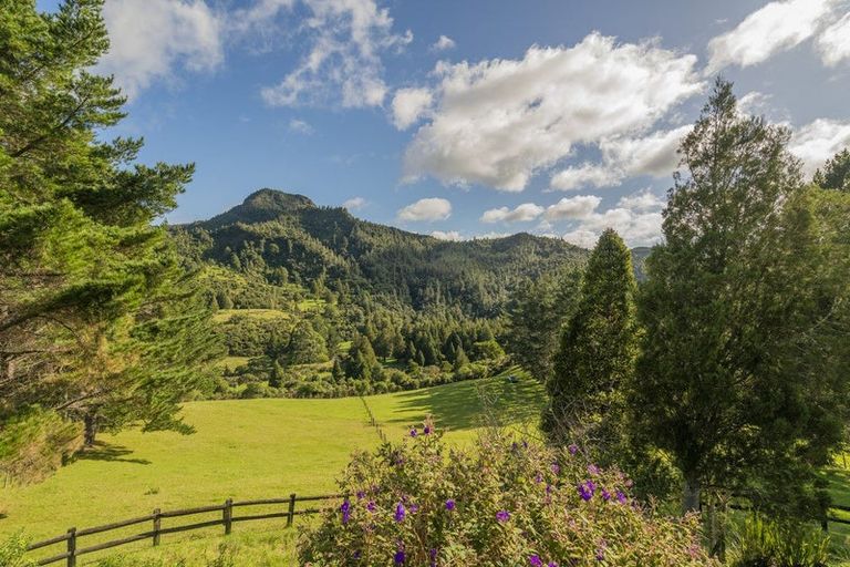 Photo of property in 555 Mill Creek Road, Kaimarama, Whitianga, 3591