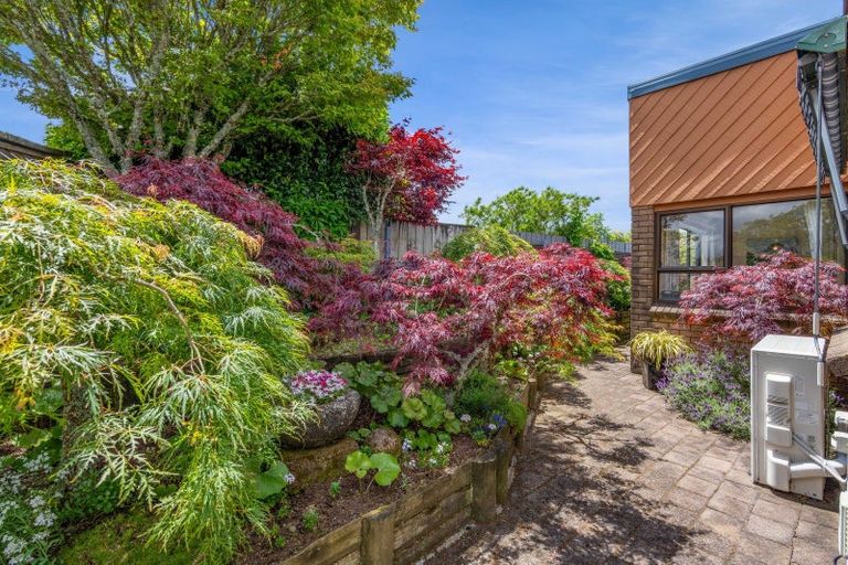 Photo of property in 37 Cassandra Street, Stratford, 4332