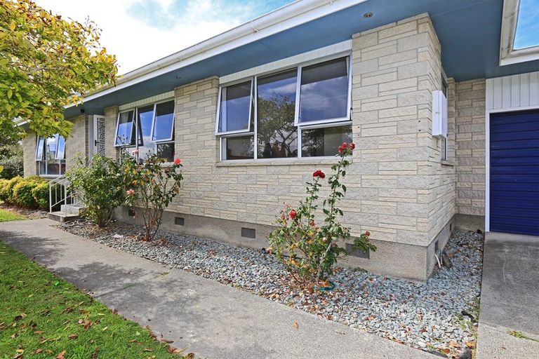 Photo of property in 22 Mckeefry Avenue, Greenmeadows, Napier, 4112