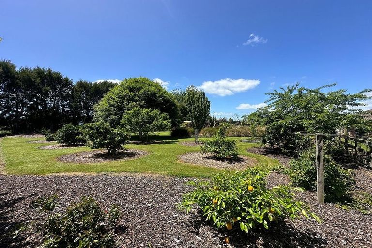 Photo of property in 159 Tauwhare Road, Tamahere, Hamilton, 3283
