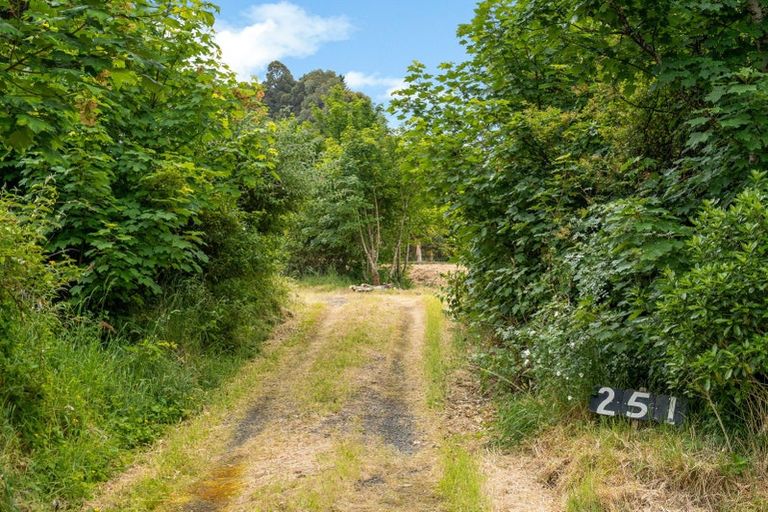 Photo of property in 251 Coast Road, Warrington, Waikouaiti, 9471