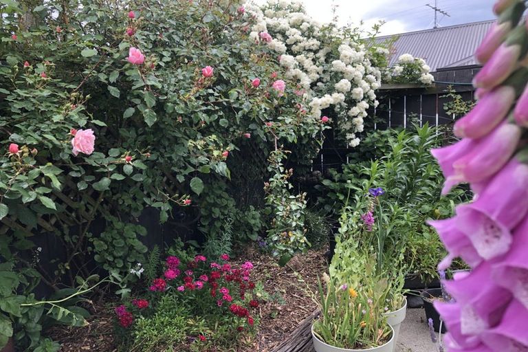 Photo of property in 16 Walshs Road, Allenton, Ashburton, 7700