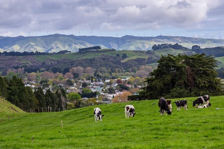 Photo of property in 113 Kaitawa Road, Hautere, Otaki, 5582