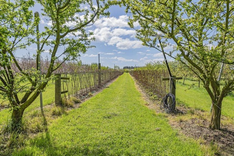 Photo of property in 1520 Tram Road, Swannanoa, Rangiora, 7475