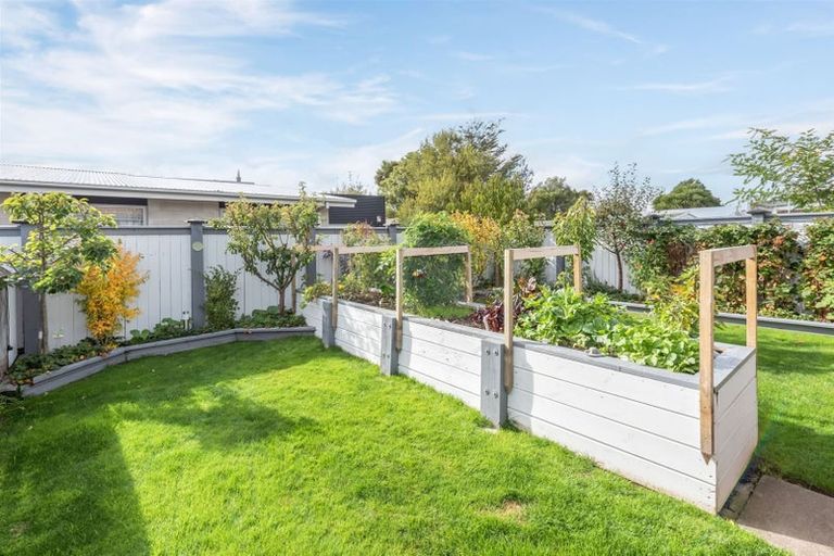 Photo of property in 50 Croziers Road, St Albans, Christchurch, 8052