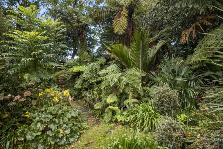 Photo of property in 25 Gilmour Street, Waihi, 3610