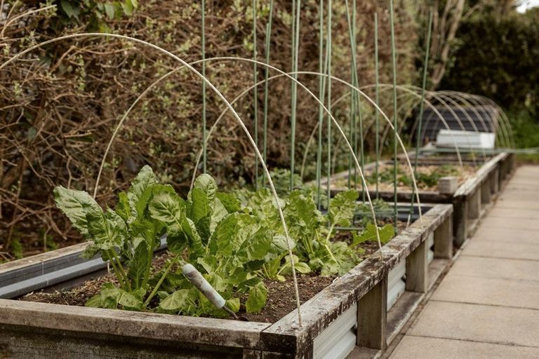 Photo of property in 111 Freeburn Road, Pyes Pa, Tauranga, 3112