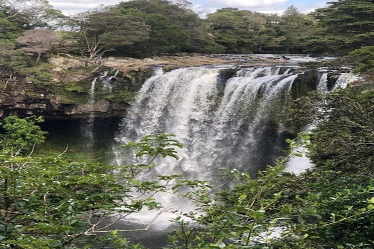 Photo of property in 21 Awhitu Road, Kerikeri, 0230