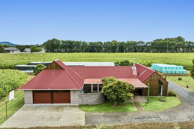 Photo of property in 164 Otakiri Road, Edgecumbe, Whakatane, 3192
