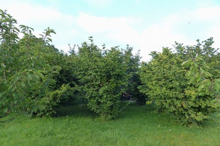 Photo of property in High Street, Waimate, 7924