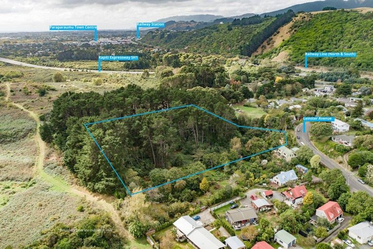 Photo of property in 63 Leinster Avenue, Raumati South, Paraparaumu, 5032