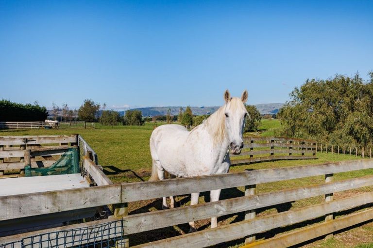 Photo of property in 148 Watershed Road, Bunnythorpe, Palmerston North, 4470