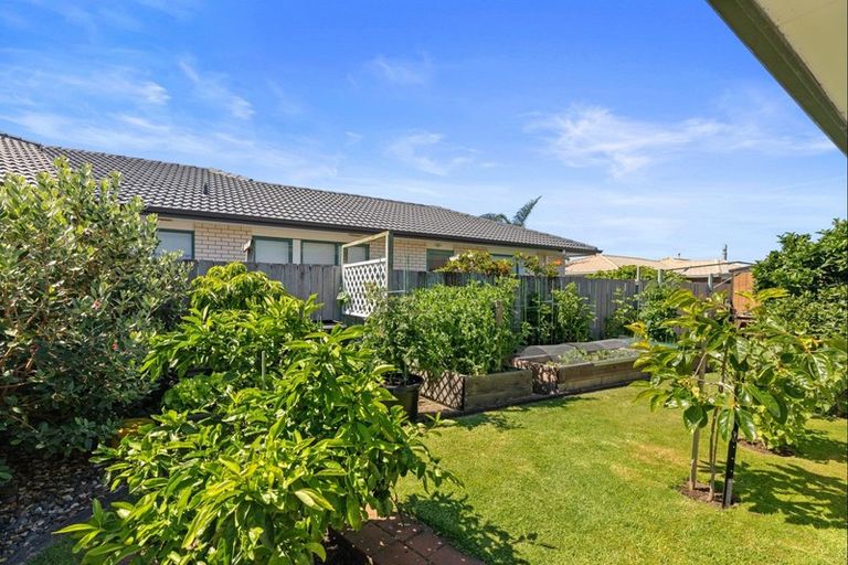 Photo of property in 59b Plateau Heights, Mount Maunganui, 3116