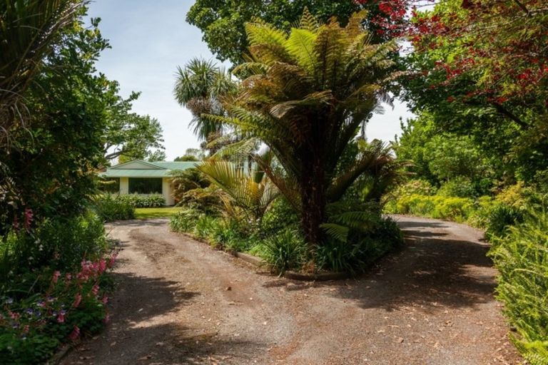 Photo of property in 33 Mokena Kohere Street, Manakau, Levin, 5573