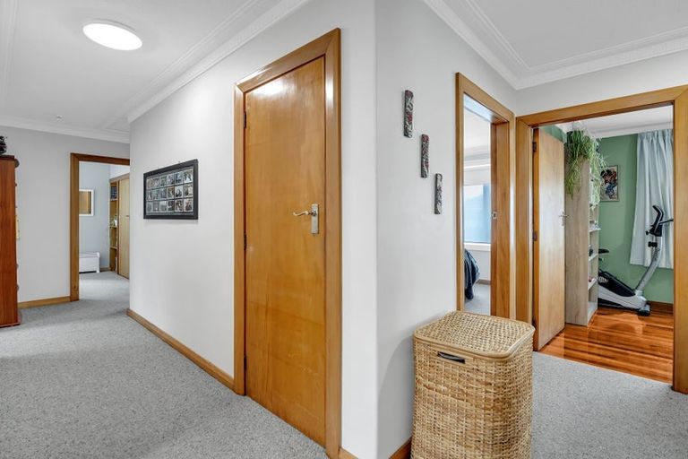 Photo of property in 17 Northfield Avenue, Opoho, Dunedin, 9010