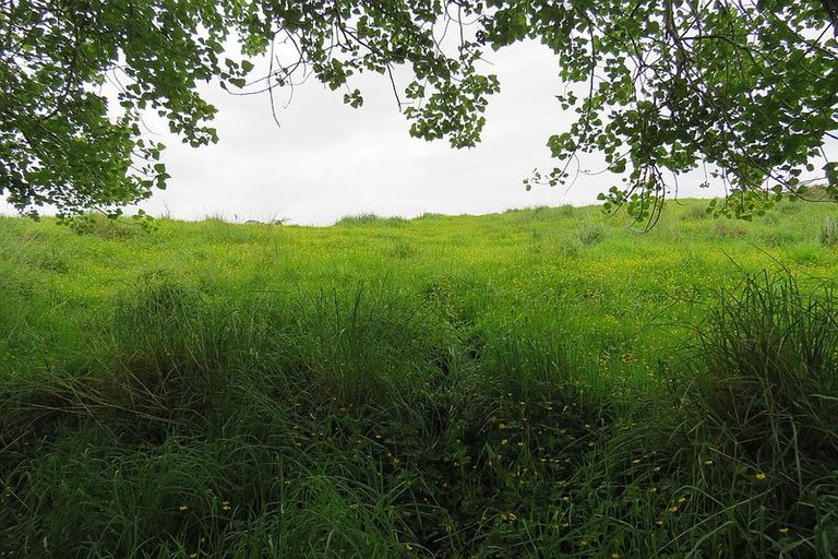 Photo of property in 289 Franklin Road, Paparoa, 0571