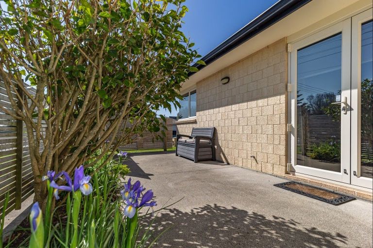 Photo of property in 180 Bath Street, Levin, 5510