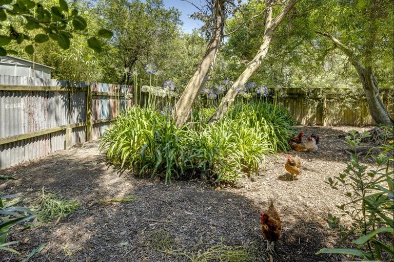 Photo of property in 186 Whirinaki Road, Eskdale, Napier, 4182