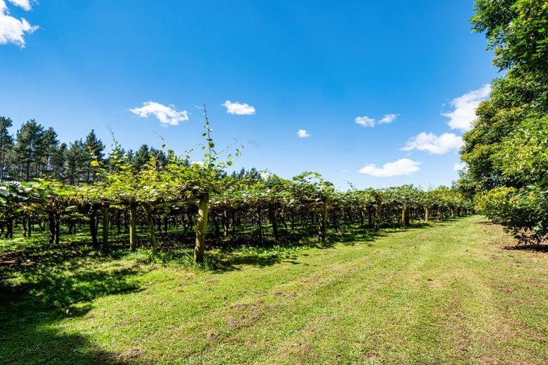 Photo of property in 168 Youngson Road, Whakamarama, Tauranga, 3179