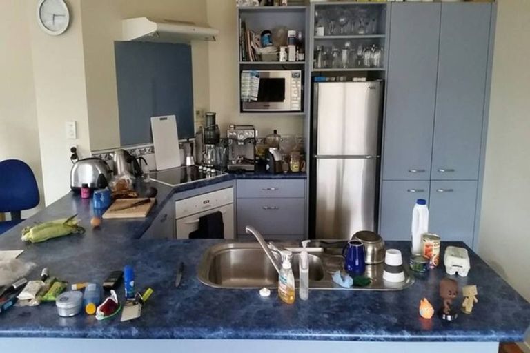 Photo of property in 4a Princess Street, Newtown, Wellington, 6021