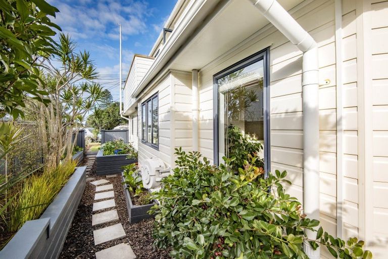 Photo of property in 24 Niccol Avenue, Narrow Neck, Auckland, 0624