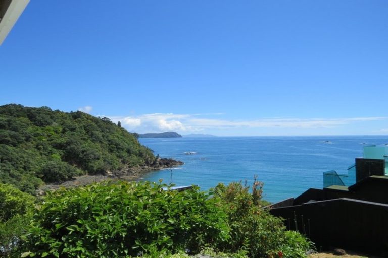 Photo of property in 17 Little Bay Drive, Waikawau, Coromandel, 3584