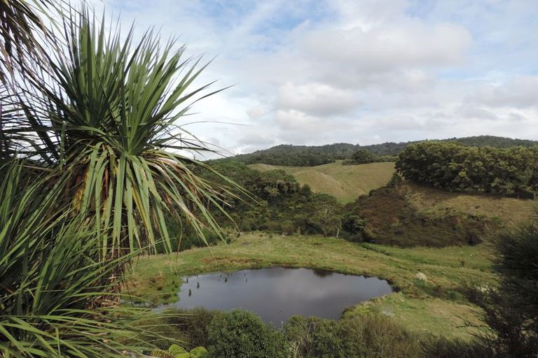 Photo of property in 311 Henry Watson Road, Matamata, 3472