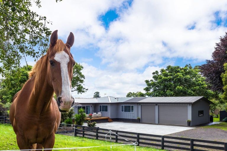 Photo of property in 1172 Mapara Road, Kinloch, Taupo, 3385