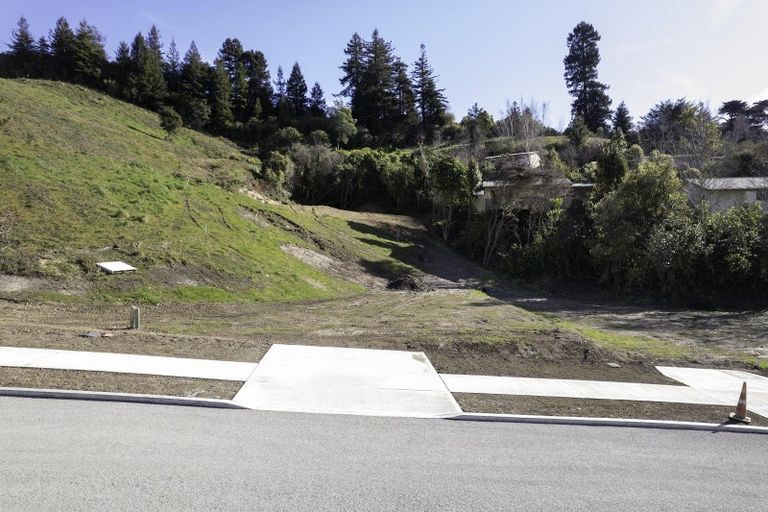 Photo of property in 16 Golden Elm Rise, Toi Toi, Nelson, 7010