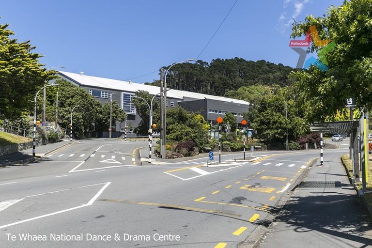 Photo of property in Drummond Street Flats, 24/19 Drummond Street, Mount Cook, Wellington, 6021