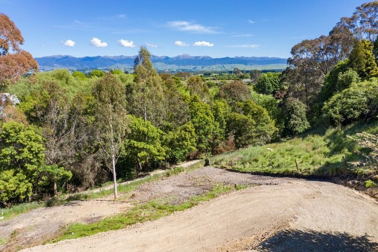 Photo of property in 91 Titoki Street, Lansdowne, Masterton, 5810