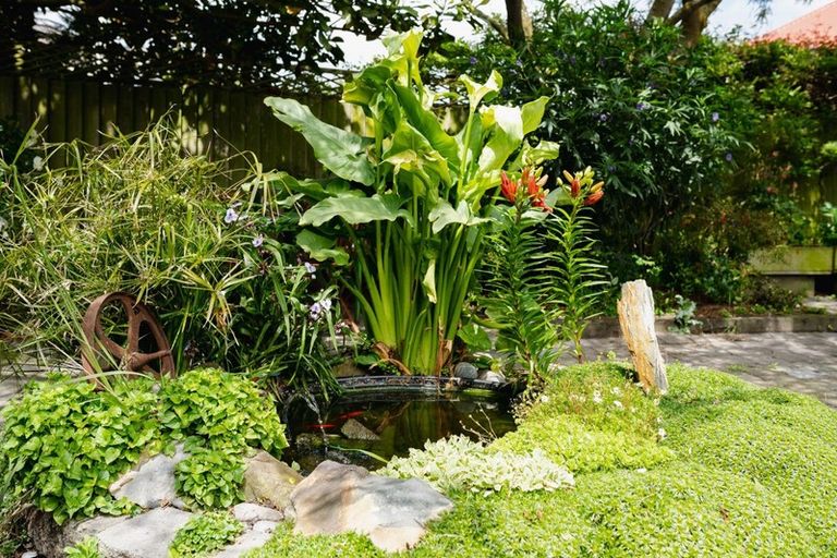 Photo of property in 11 Tainui Road, Musselburgh, Dunedin, 9013