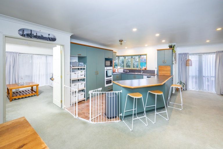 Photo of property in 12 Hastings Place, Hamilton Lake, Hamilton, 3204