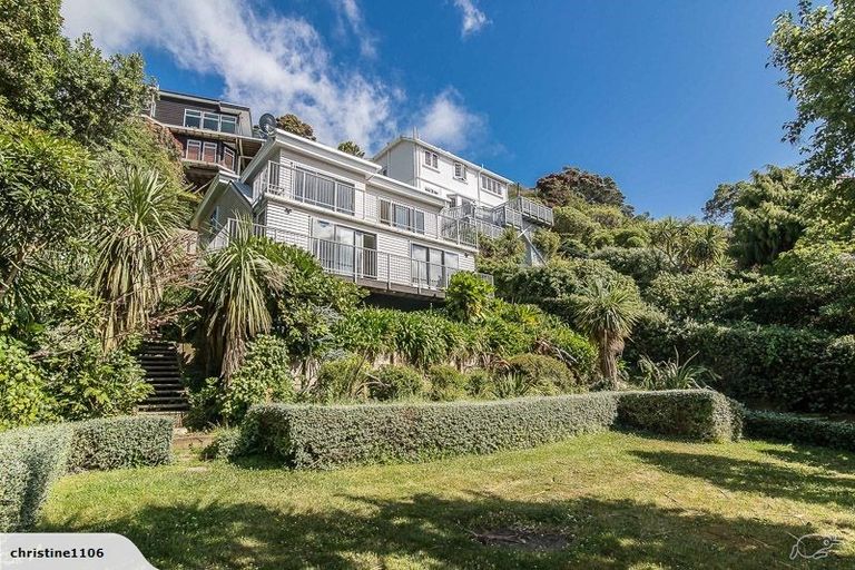 Photo of property in 169 Grafton Road, Hataitai, Wellington, 6011
