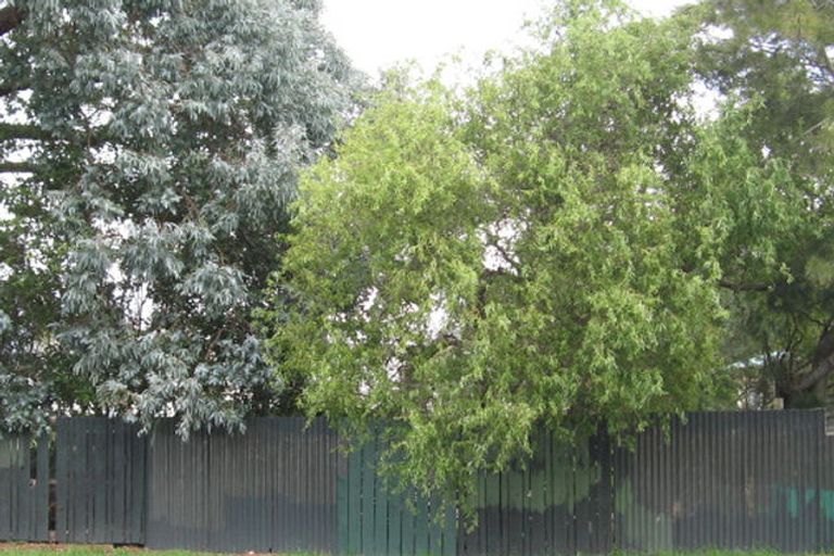 Photo of property in 4 Don Buck Road, Massey, Auckland, 0614