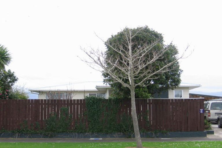 Photo of property in 15 William Street, Levin, 5510